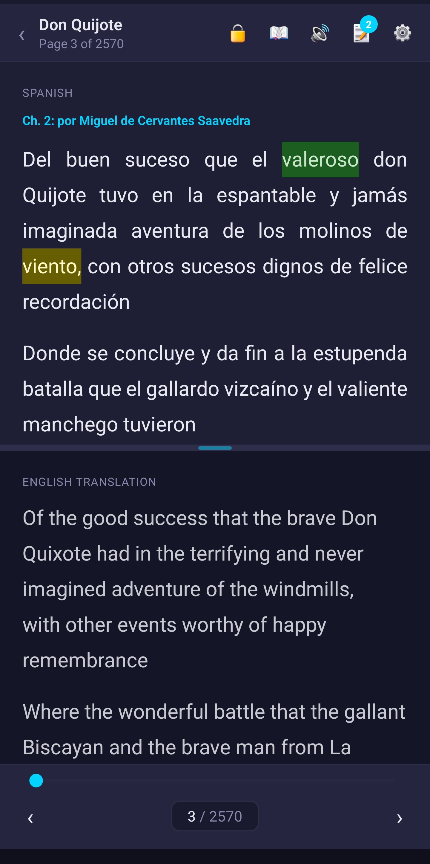 Reading Don Quijote with Spanish text and English translation side by side